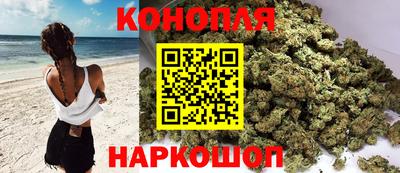гашик Можайск
