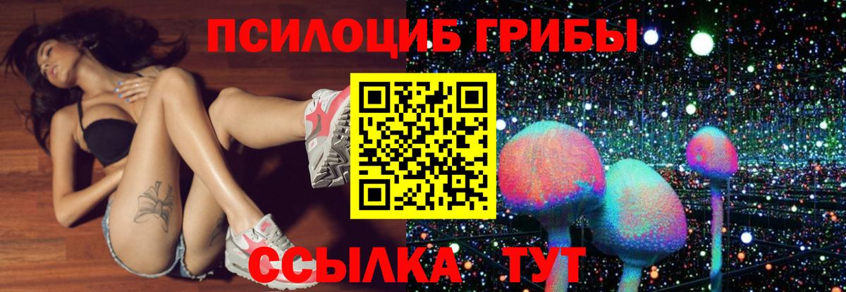 Старая Купавна  Псилоцибиновые грибы GOLDEN TEACHER  Галлюциногенные грибы Magic Shrooms  Вход с VPN 